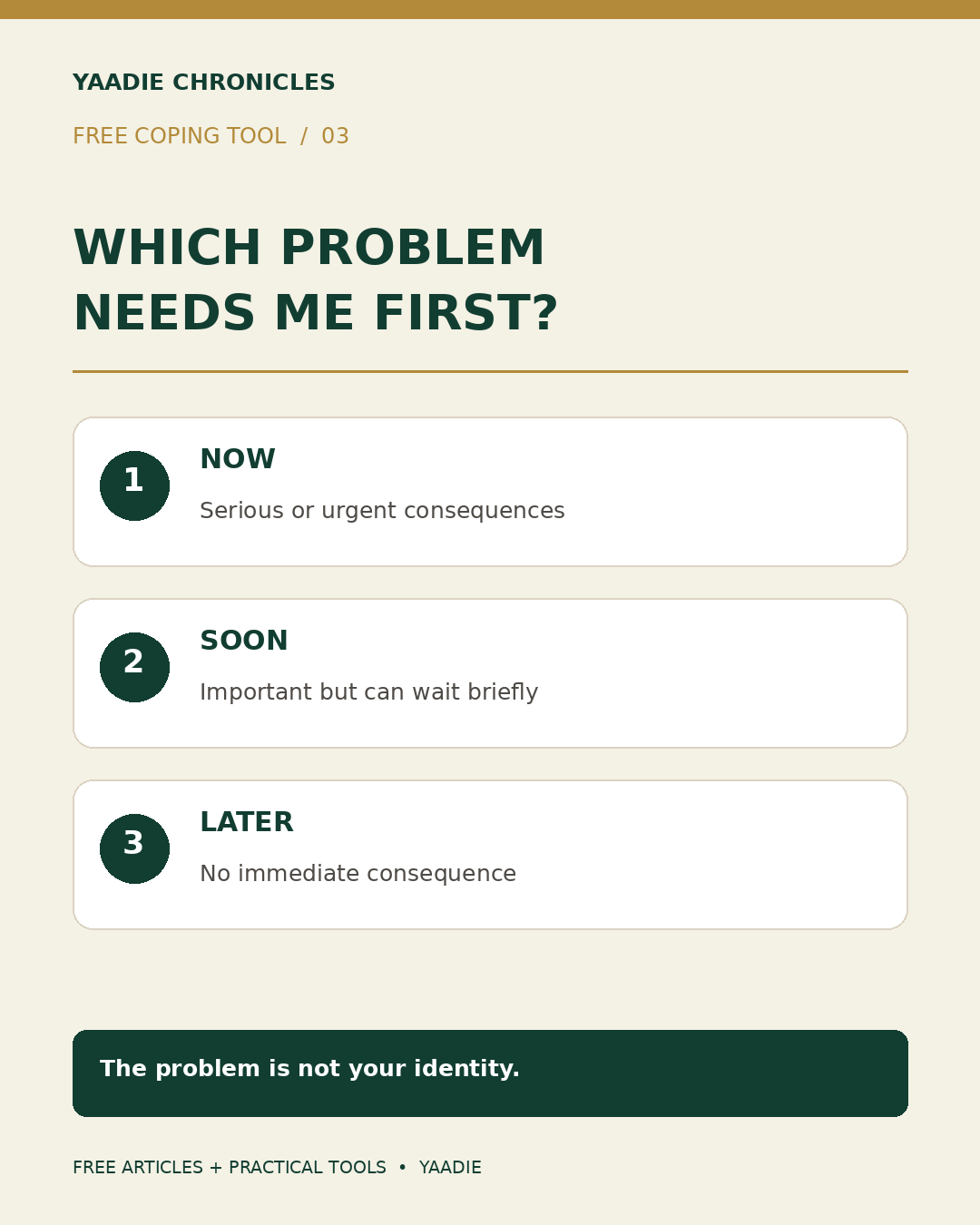 Which Problem Needs Me First? Sort serious or urgent consequences into now, important matters into soon, and matters with no immediate consequence into later. The problem is not your identity.